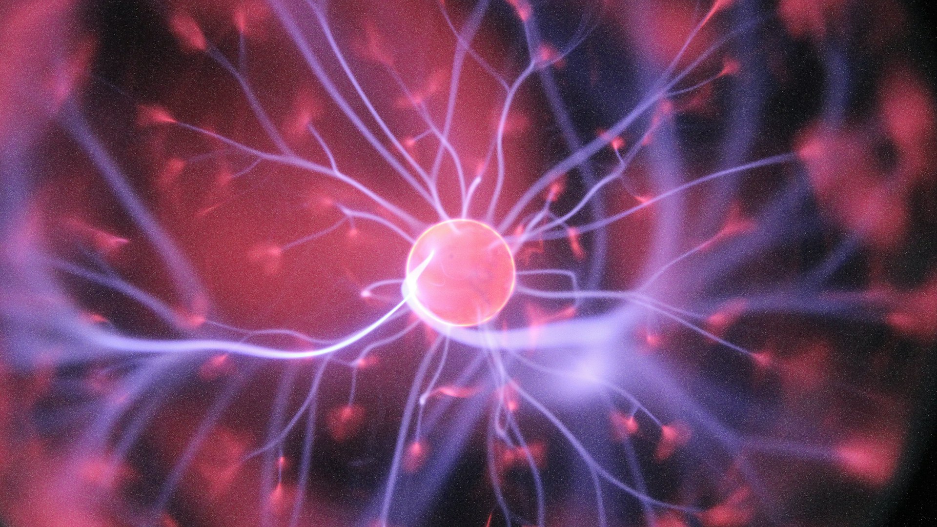 R&D laboratory